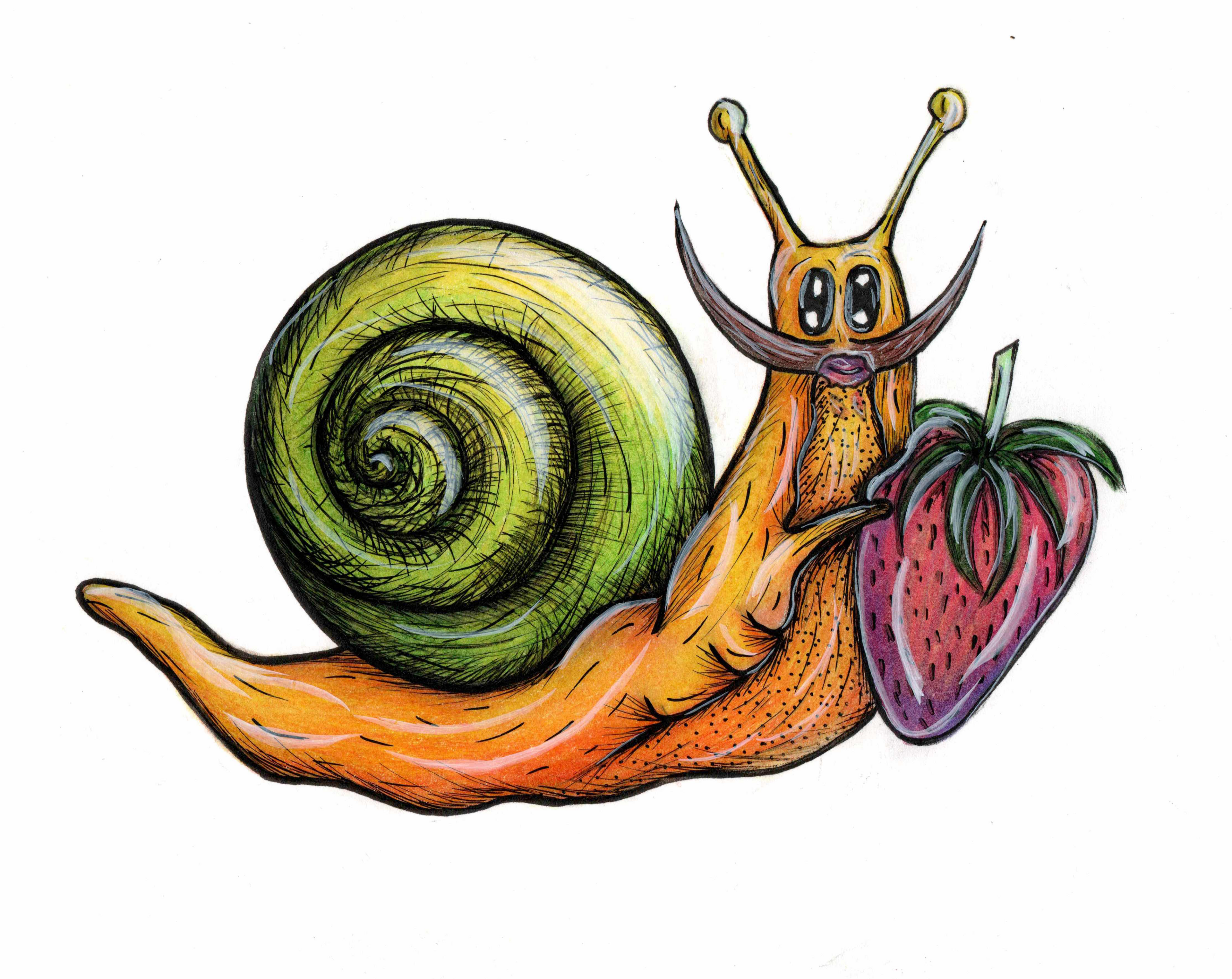 SchnurrbartSchnecke Steve auf seiner Reise